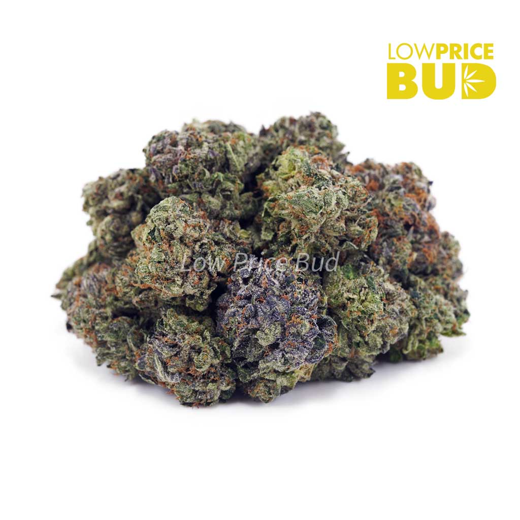 Buy LSO – Mike Tyson (Craft Cannabis) online Canada
