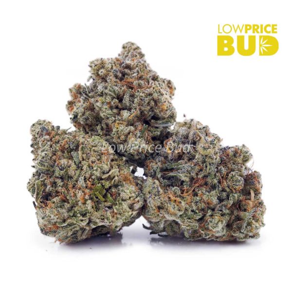 Buy Kali Mist (AAA) online Canada