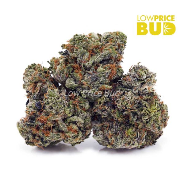 Buy LSO – Supreme Gas Mask (Craft Cannabis) online Canada