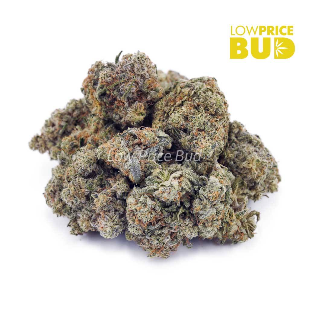 Buy Kali Mist (AAA) online Canada