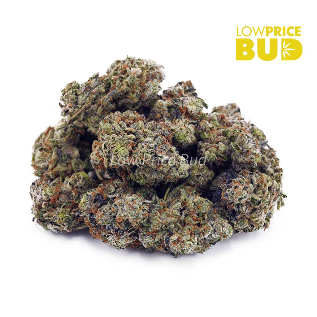 Buy LSO – Supreme Gas Mask (Craft Cannabis) online Canada