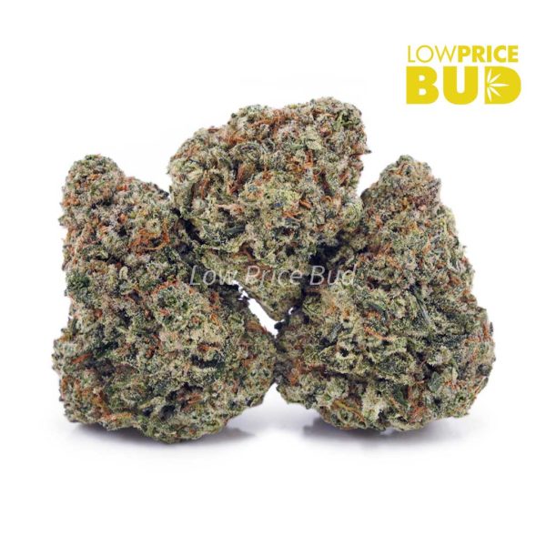 Buy White Rhino (AAA) online Canada