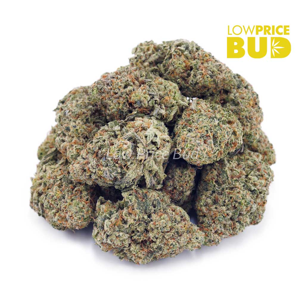 Buy White Rhino (AAA) online Canada