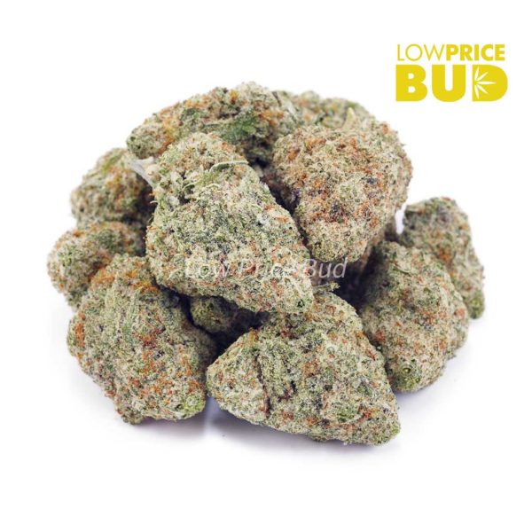 Buy Purple Haze (AAAA) online Canada