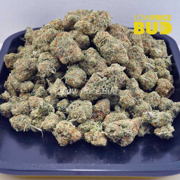 Buy Purple Haze (AAAA) online Canada