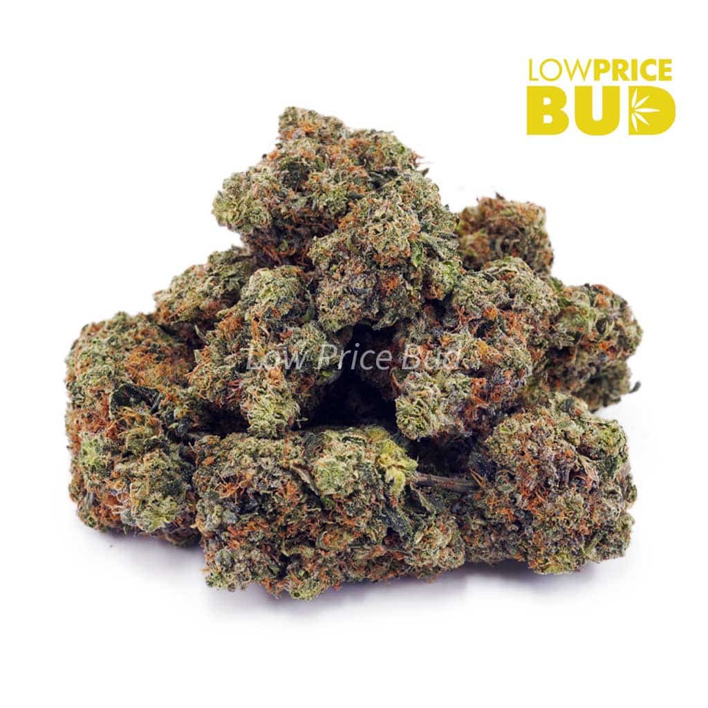 Death Pink (AAA) Buy Death Pink (AAA) online Canada