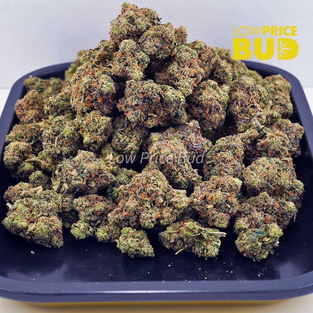 Death Pink (AAA) Buy Death Pink (AAA) online Canada