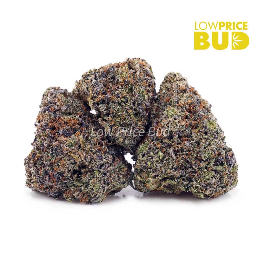 Supreme Blueberry Cheesecake (Craft Cannabis) Buy Supreme Blueberry Cheesecake (Craft Cannabis) online Canada
