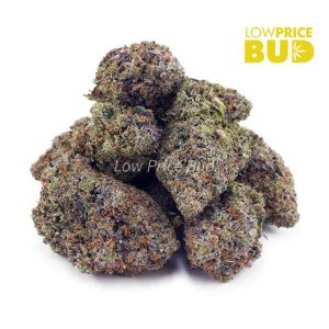Supreme Blueberry Cheesecake (Craft Cannabis) Buy Supreme Blueberry Cheesecake (Craft Cannabis) online Canada
