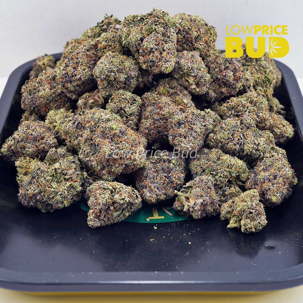 Supreme Blueberry Cheesecake (Craft Cannabis) Buy Supreme Blueberry Cheesecake (Craft Cannabis) online Canada