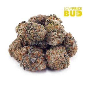 Super Skunk (AAA) Buy Super Skunk (AAA) online Canada