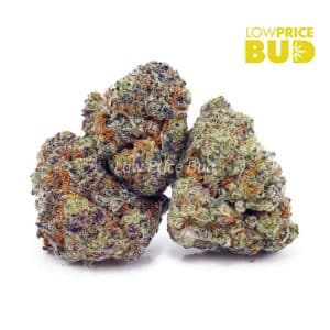 Frosted Donuts (AAA) Buy Frosted Donuts (AAA) online Canada