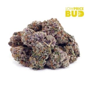 Island Sweet Skunk (AA) Buy Island Sweet Skunk (AA) online Canada