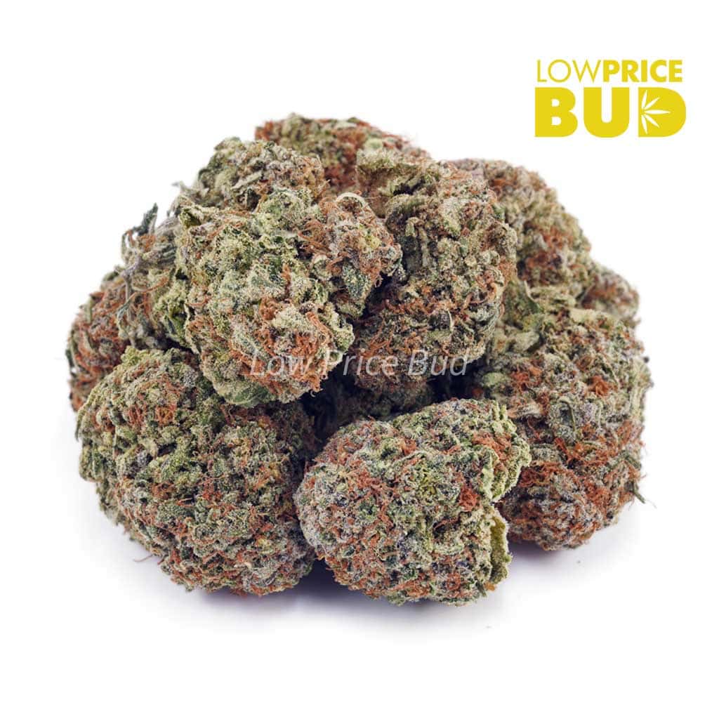 White Widow (AAA) Buy White Widow (AAA) online Canada