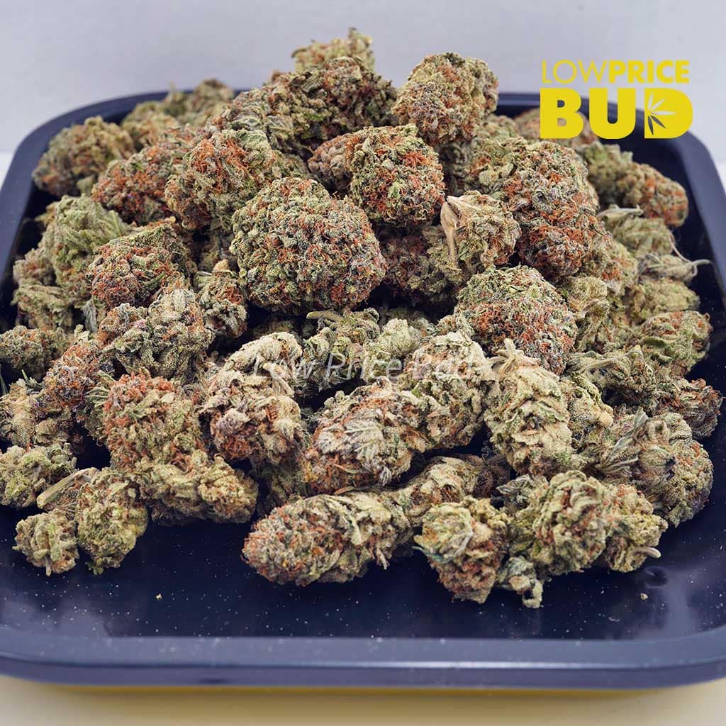 White Widow (AAA) Buy White Widow (AAA) online Canada