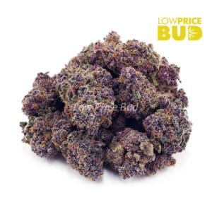 Purple Afghani (AA) Buy Purple Afghani (AA) online Canada