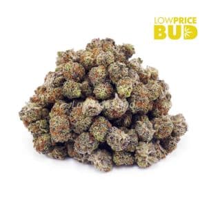 Ice Cream Cake (AAAA) – Popcorn Nugs Buy Ice Cream Cake (AAAA) – Popcorn Nugs online Canada