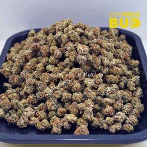 Ice Cream Cake (AAAA) – Popcorn Nugs Buy Ice Cream Cake (AAAA) – Popcorn Nugs online Canada