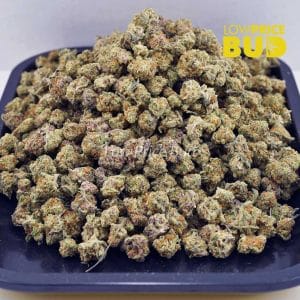 Guava Bomb (AAAA) – Popcorn Nugs Buy Guava Bomb (AAAA) – Popcorn Nugs online Canada
