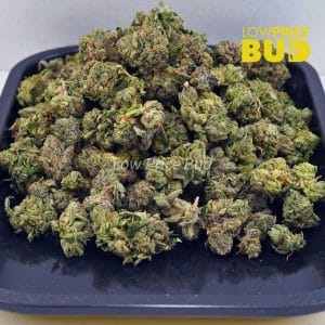 Buy El Diablo (AAAA) – Popcorn Nugs online Canada
