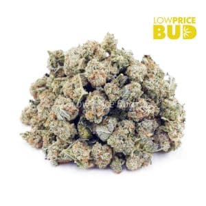 MAC Donuts (AAAA) – Popcorn Nugs Buy MAC Donuts (AAAA) – Popcorn Nugs online Canada