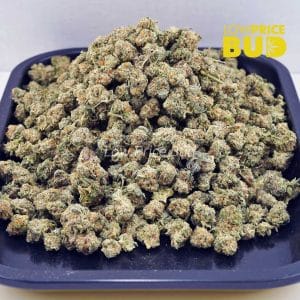 MAC Donuts (AAAA) – Popcorn Nugs Buy MAC Donuts (AAAA) – Popcorn Nugs online Canada