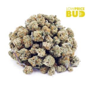 Alien Cookies (AAAA) – Popcorn Nugs Buy Alien Cookies (AAAA) – Popcorn Nugs online Canada