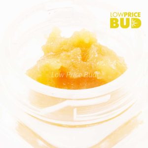 Caviar – Platinum Pink Buy Caviar – Platinum Pink online Canada