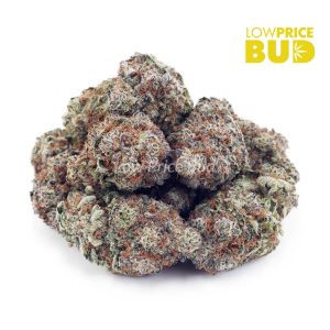 Buy Oreoz (AAA) online Canada