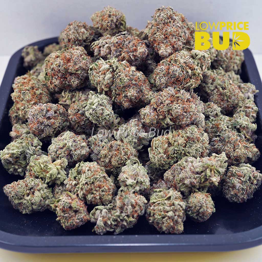 Oreoz (AAA) Buy Oreoz (AAA) online Canada