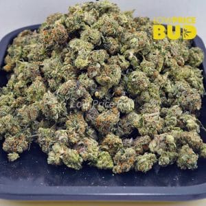 Funky Charmz (AAAA) – Popcorn Nugs Buy Funky Charmz (AAAA) – Popcorn Nugs online Canada
