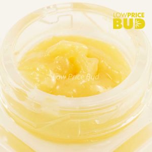 Buy Caviar – King Kong online Canada