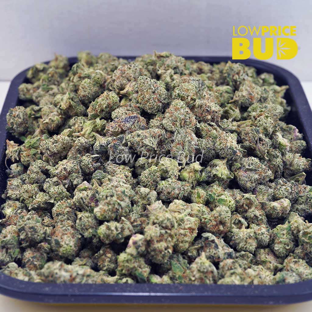 Buy Lychee Punch (AAAA) – Popcorn Nugs online Canada