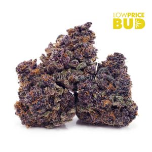 Buy Purple Kush (AAAA) online Canada
