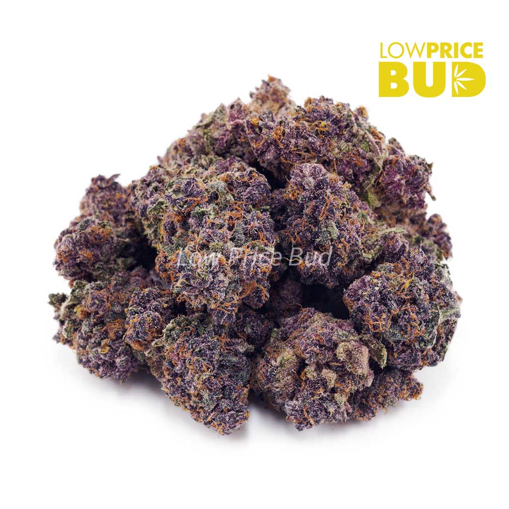 Buy Purple Kush (AAAA) online Canada