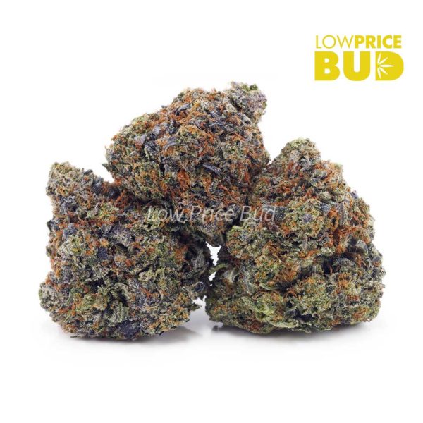 Buy Pink Tuna (Craft Cannabis) online Canada