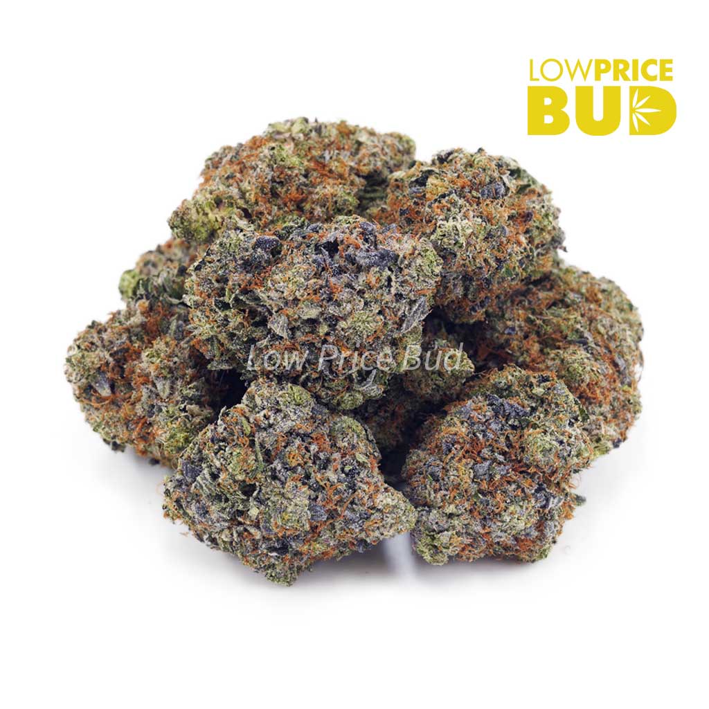 Buy Pink Tuna (Craft Cannabis) online Canada
