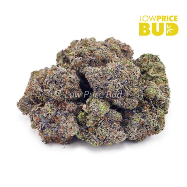 Buy 91 Octane (Craft Cannabis) online Canada