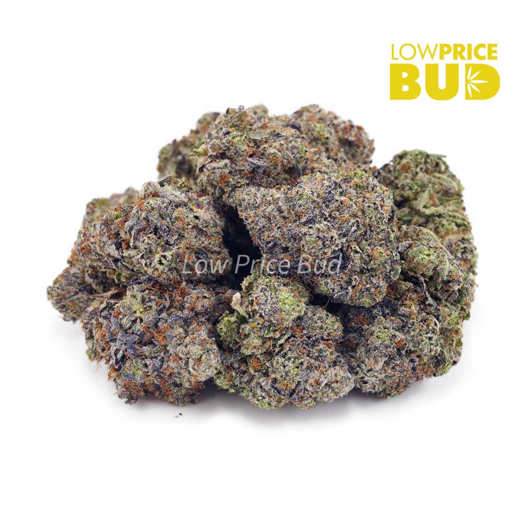 Buy 91 Octane (Craft Cannabis) online Canada