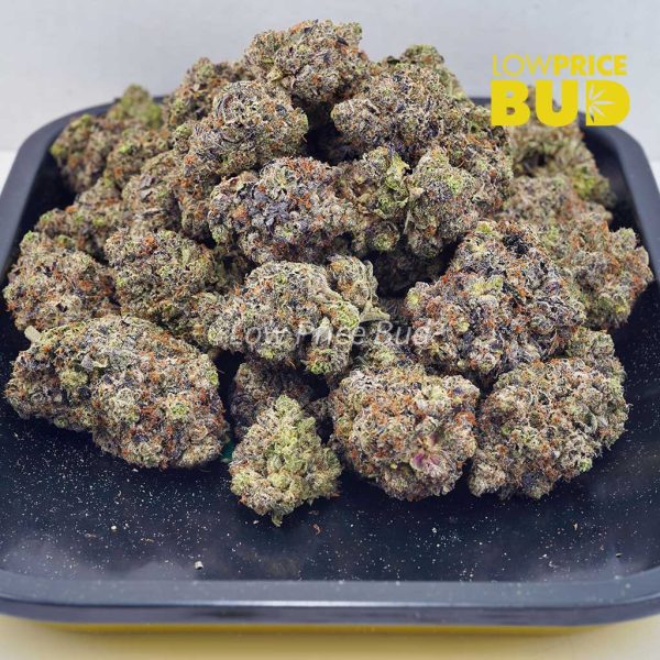 Buy 91 Octane (Craft Cannabis) online Canada