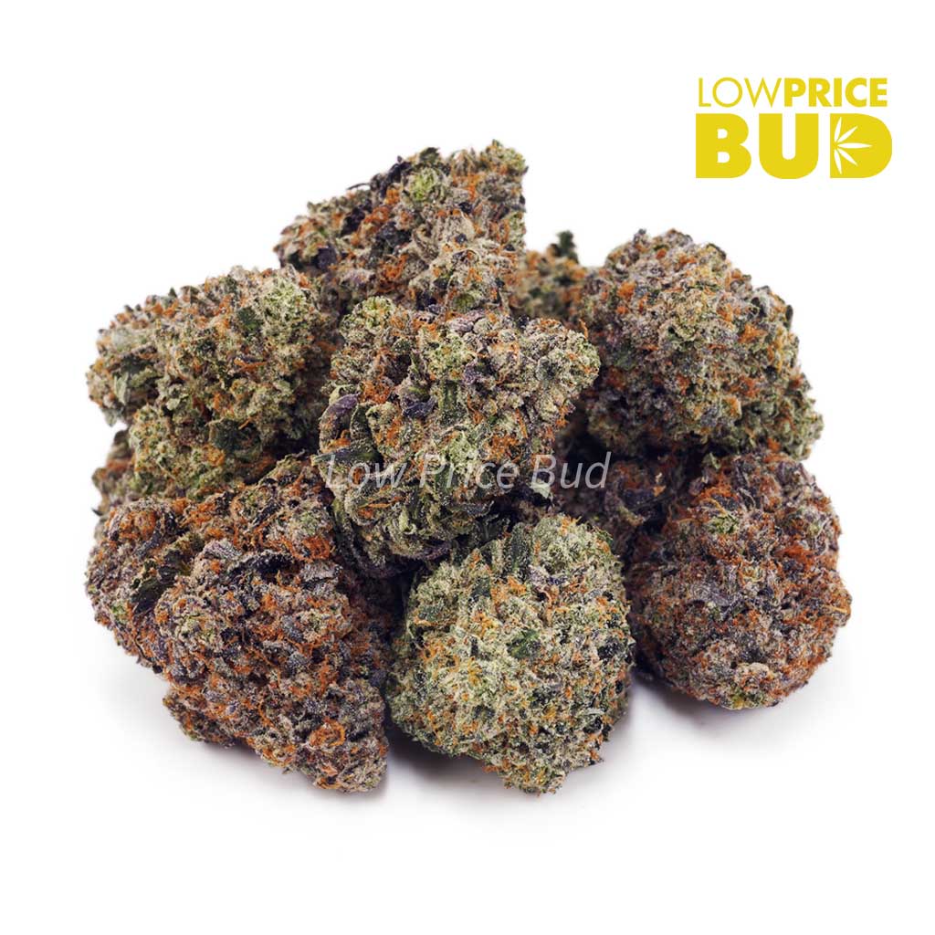 Buy OG Octane (Craft Cannabis) online Canada