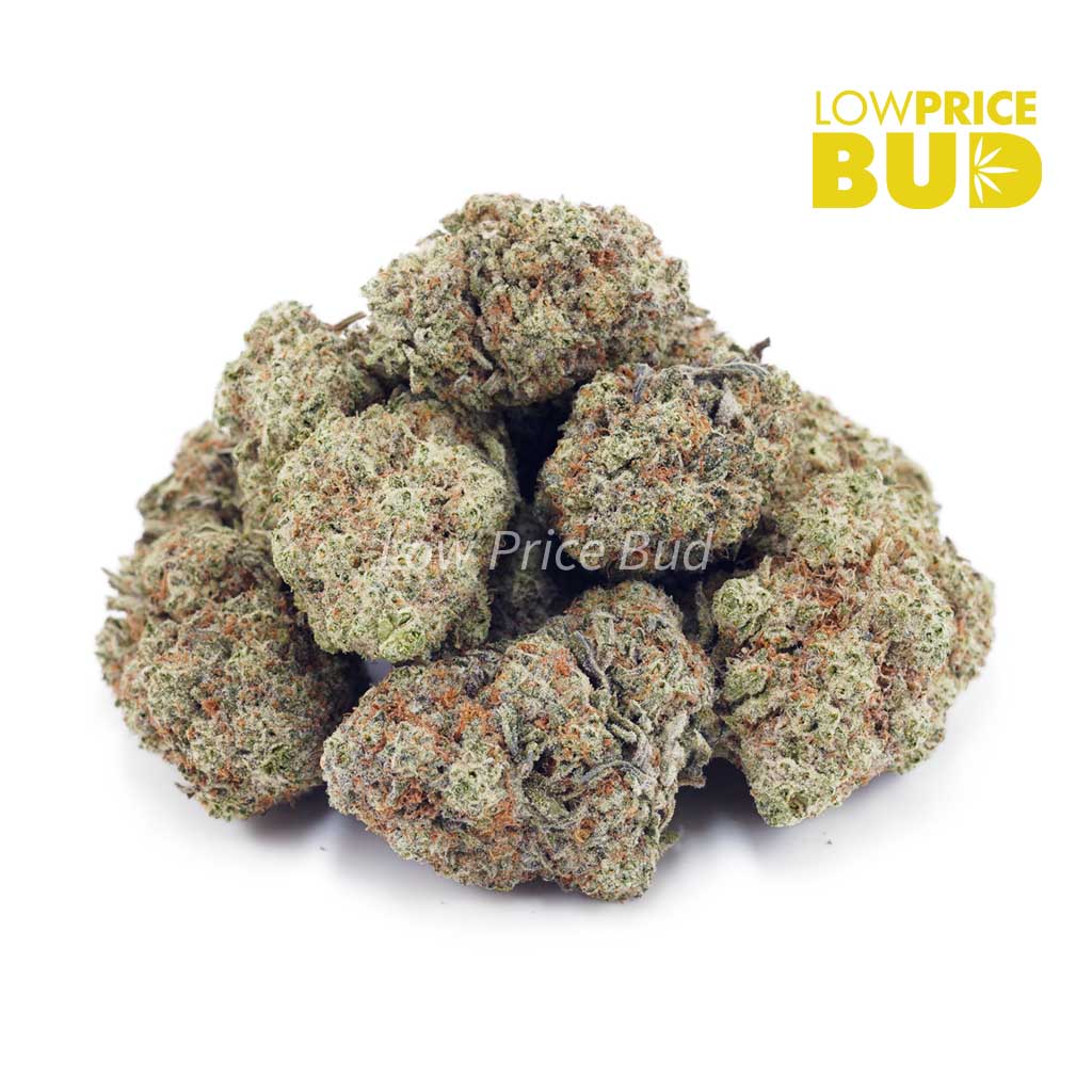 Buy Miracle Alien Cookies (Craft Cannabis) online Canada