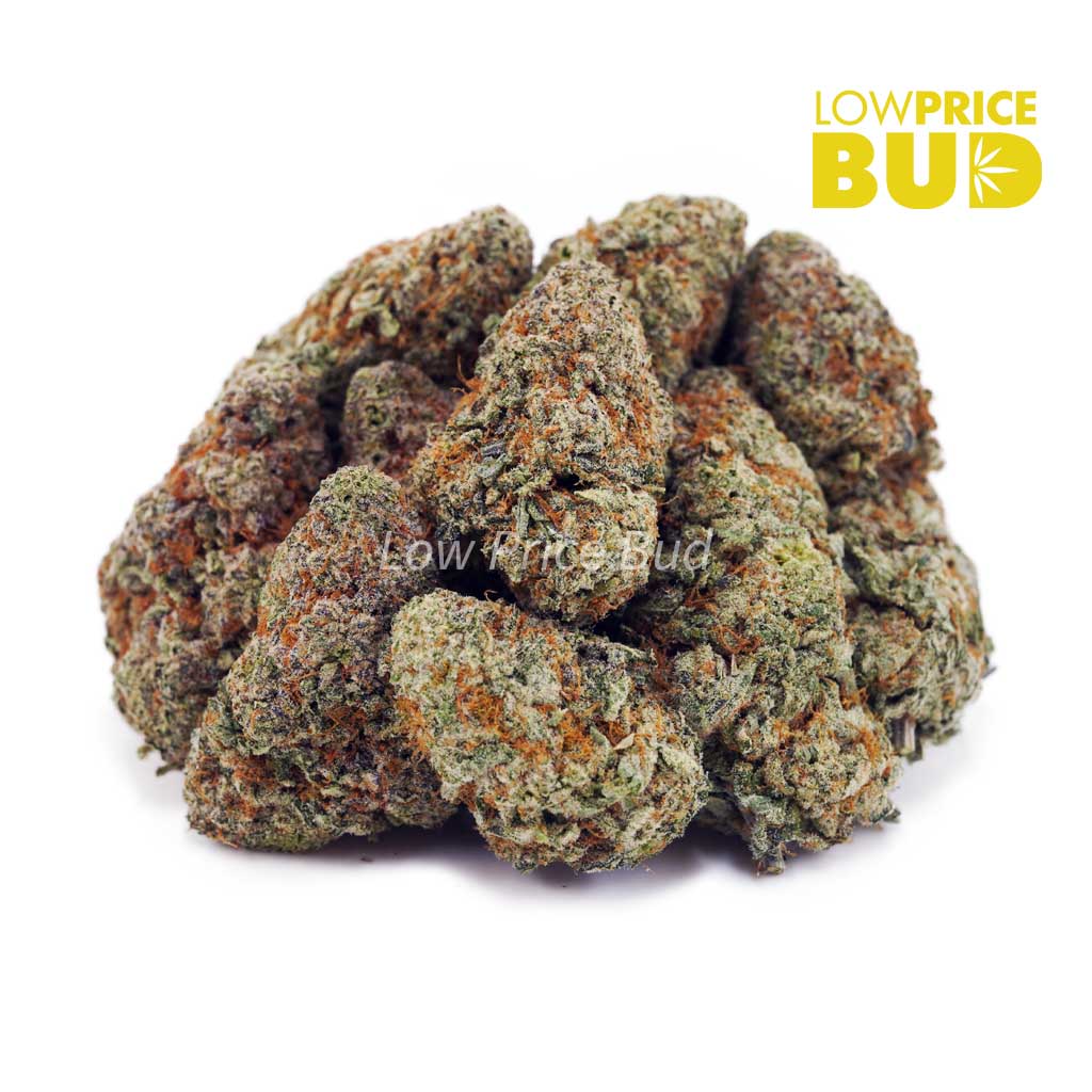 Buy Cali Bubba (AAA) online Canada