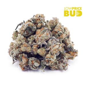 Buy Cookies Kush (AAAA) – Popcorn Nugs online Canada