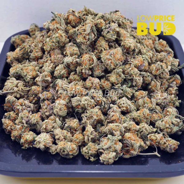 Buy Cookies Kush (AAAA) – Popcorn Nugs online Canada
