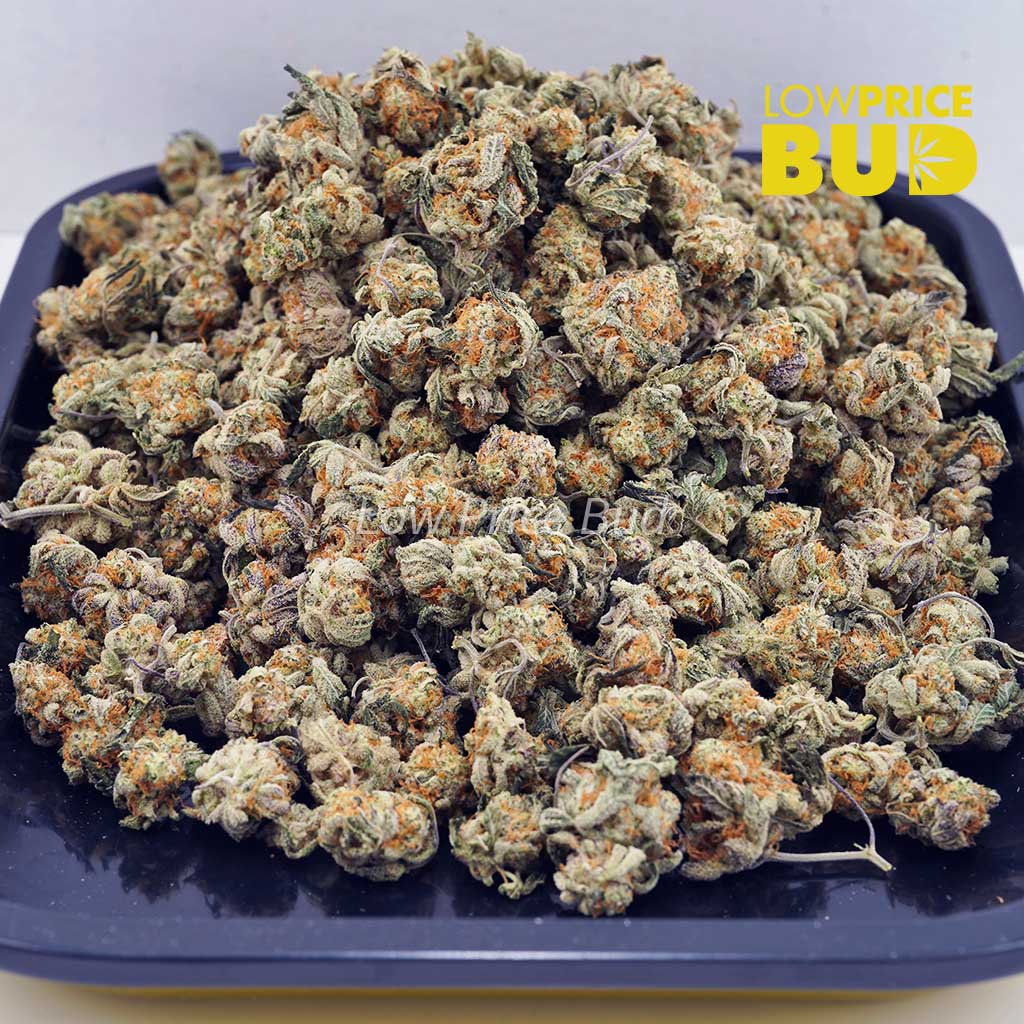 Buy Cookies Kush (AAAA) – Popcorn Nugs online Canada