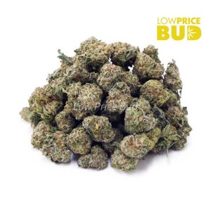 Buy Dragon’s Breath (AAAA) – Popcorn Nugs online Canada