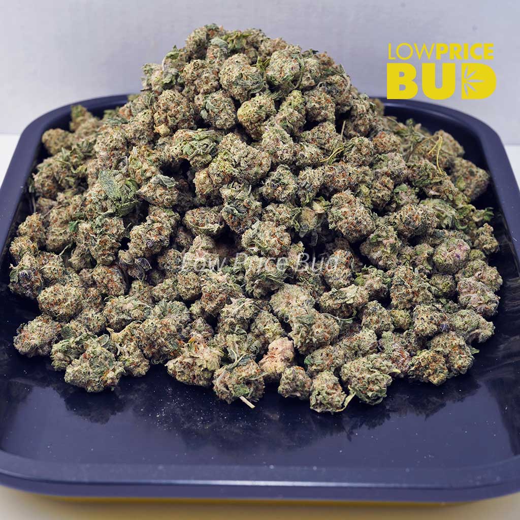 Buy Dragon’s Breath (AAAA) – Popcorn Nugs online Canada