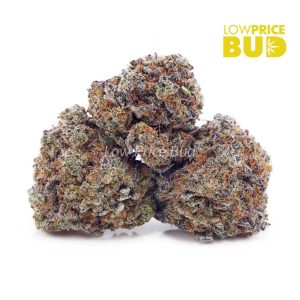 Buy Khalifa Kush (AAAA) online Canada