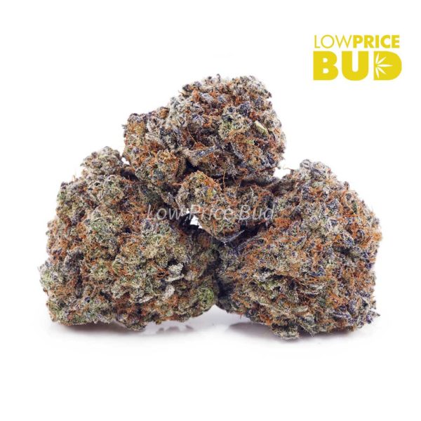 Buy Khalifa Kush (AAAA) online Canada